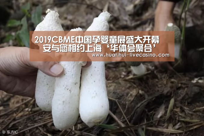 2019CBME中国孕婴童展盛大开幕 嚒嚒安与您相约上海‘华体会聚合’(图2) 华体会聚合