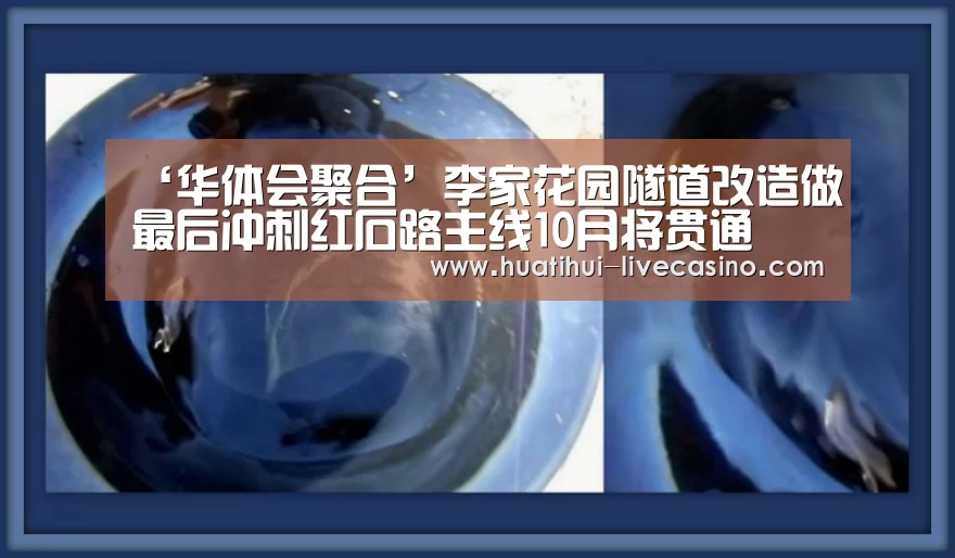 华体会直播