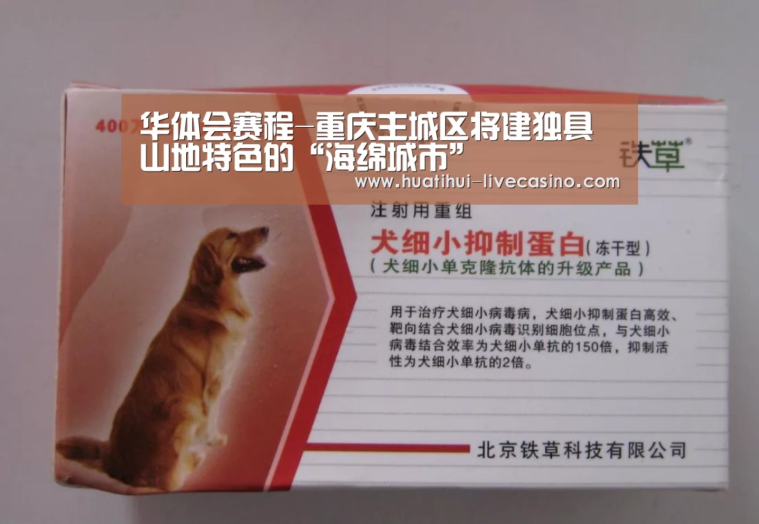 华体会赛程