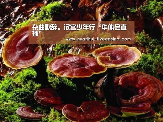 华体会赛程