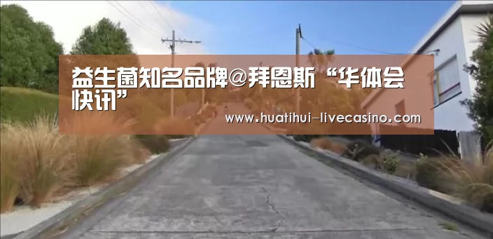 华体会聚合