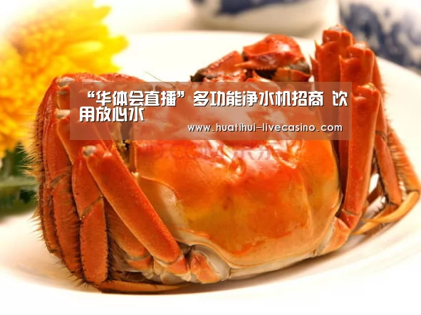 华体会直播