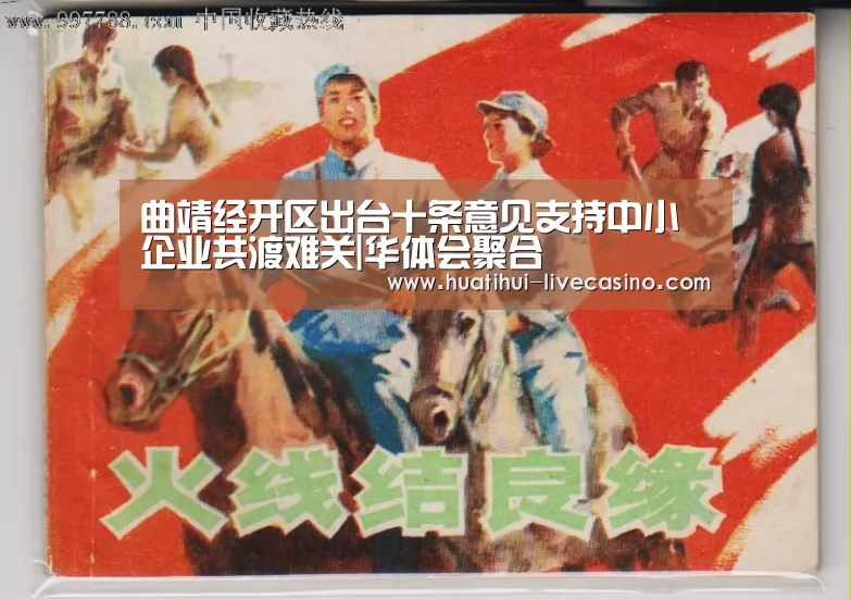曲靖经开区出台十条意见支持中小企业共渡难关|华体会聚合(图1) 华体会快讯
