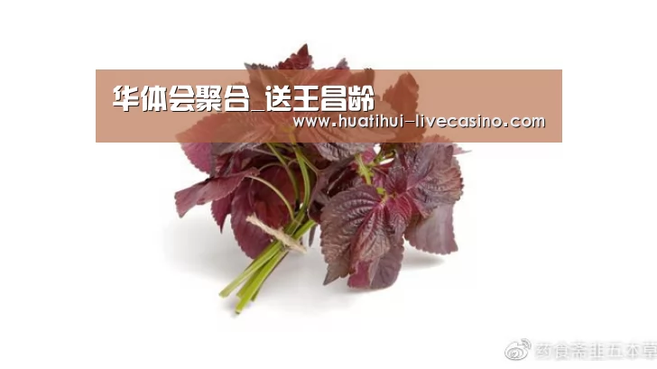华体会聚合