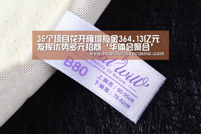 35个项目花开雁塔揽金364.13亿元发挥优势多元招商‘华体会聚合’(图2) 华体会直播
