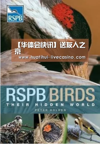 华体会快讯