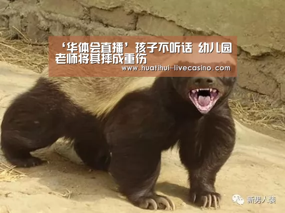 华体会直播