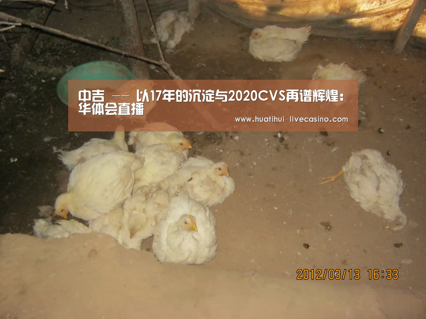 中吉 -- 以17年的沉淀与2020CVS再谱辉煌:华体会直播(图2) 华体会直播